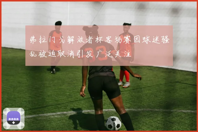 弗拉门戈解放者杯客场赛因球迷骚乱被迫取消引发广泛关注